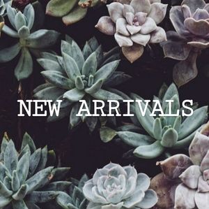 🎉🎉🎉🎉➡️